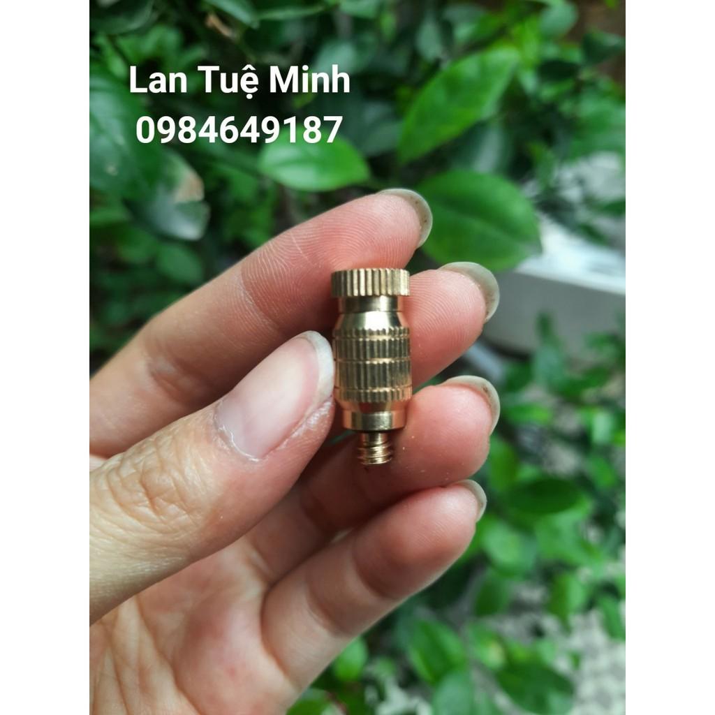 Đầu bep phun sương số 2 cỡ 0,2mm chất liệu đồng thau Loại 2010