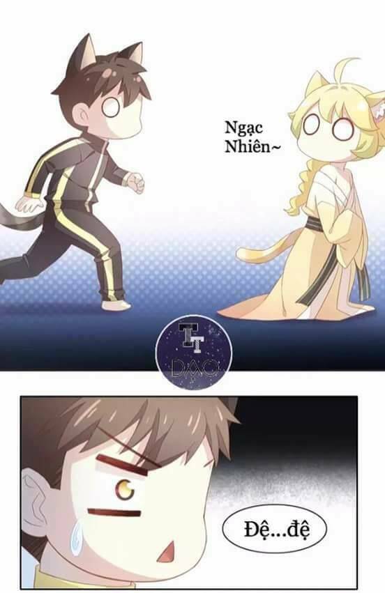 dưới móng vuốt mèo chapter 10 5