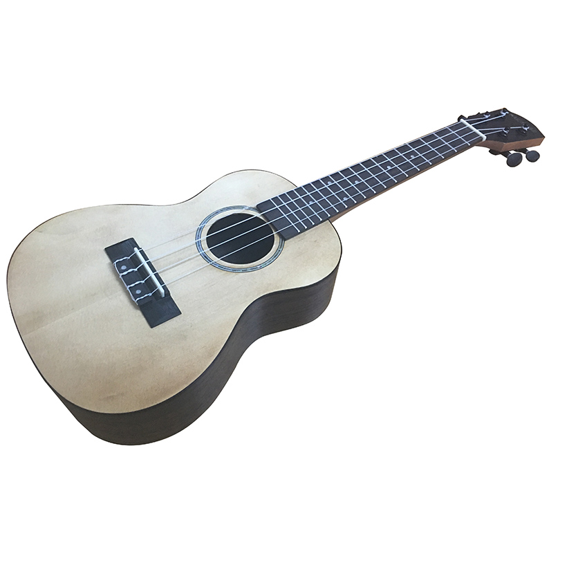 Đàn Ukulele Concert size 23 - Mẫu Paradise