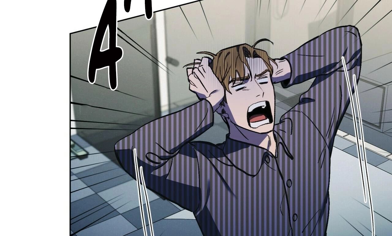 chàng dâu nhà họ kang chapter 20 77