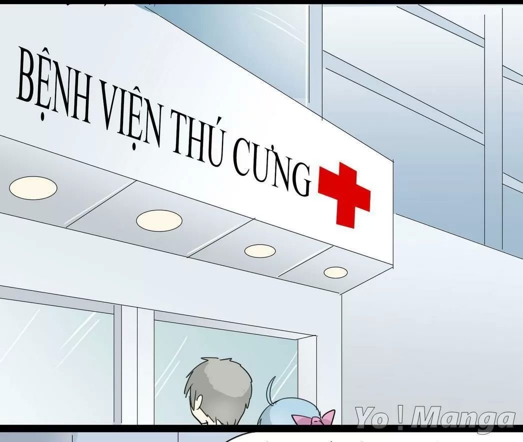 một con chó chapter 55 5