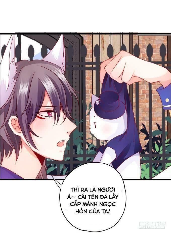 hồ tiên hung bạo chapter 14 11