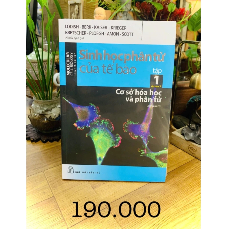 Sách - Sinh Học Phân Tử Của Tế Bào (Trọn Bộ 5 Cuốn) mới 2024