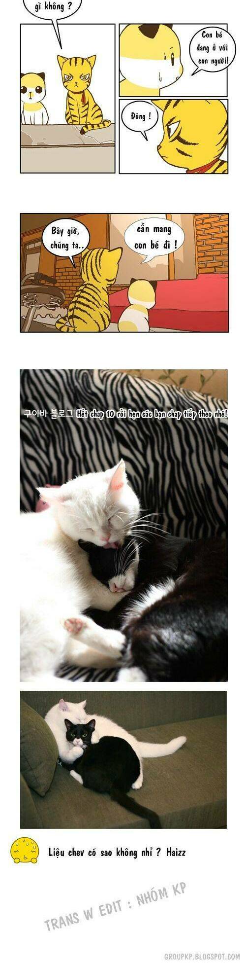 papi nyang chapter 10 10