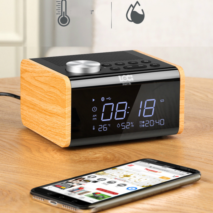 Loa Nghe Nhạc Bluetooth - Đài FM đa chức năng H100 - Hàng Chính Hãng
