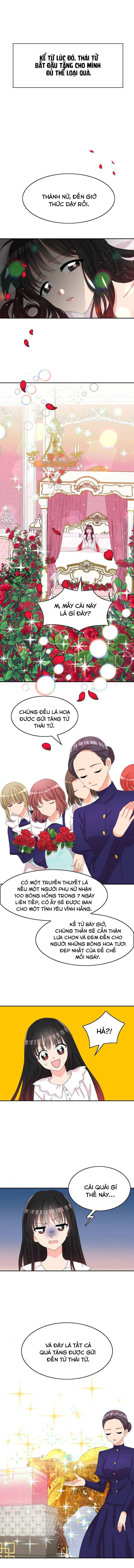 vị cứu tinh của rồng chapter 22 4