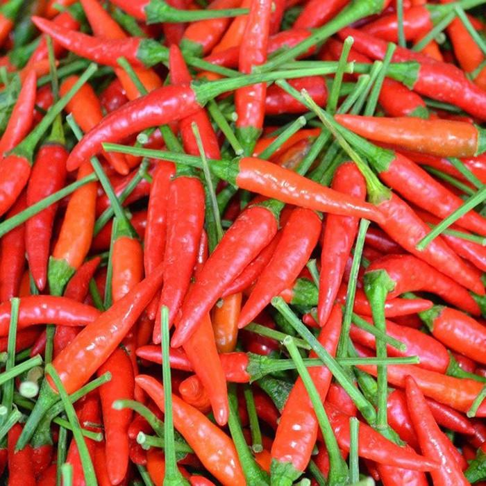Hạt Giống Ớt Hiểm