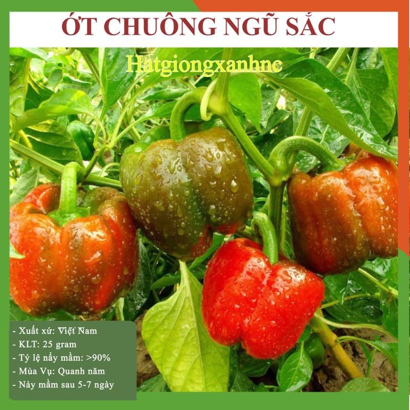 Hạt giống rau củ quả F1 các loại, gói từ 20-35gram, dễ trồng, kháng bệnh tốt. trồng ban công, sân thượng, trong chậu