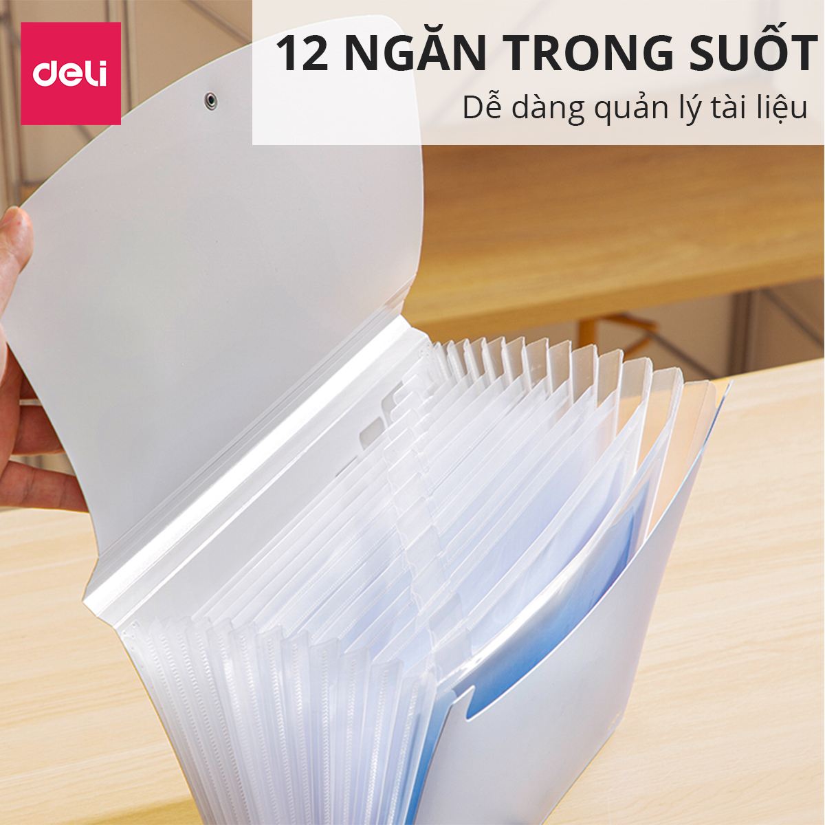 [Sơn Tùng M-TP Collection] Cặp Tài Liệu 12 NGĂN Học Sinh Văn Phòng Deli - Phù Hợp Lưu Trữ Tài Liệu Chứng Từ - CF555