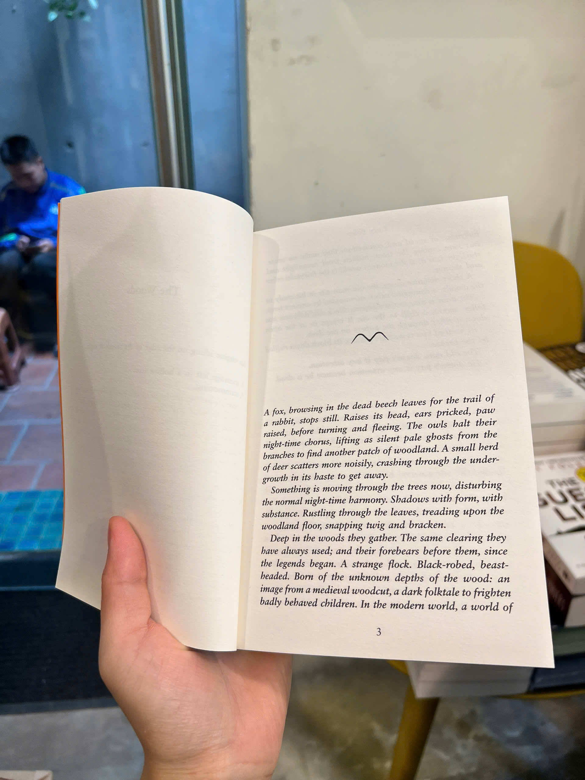 Sách - The Midnight Feast by Lucy Foley | Mystery Thriller / Trinh thám Tiếng Anh / Ngoại văn