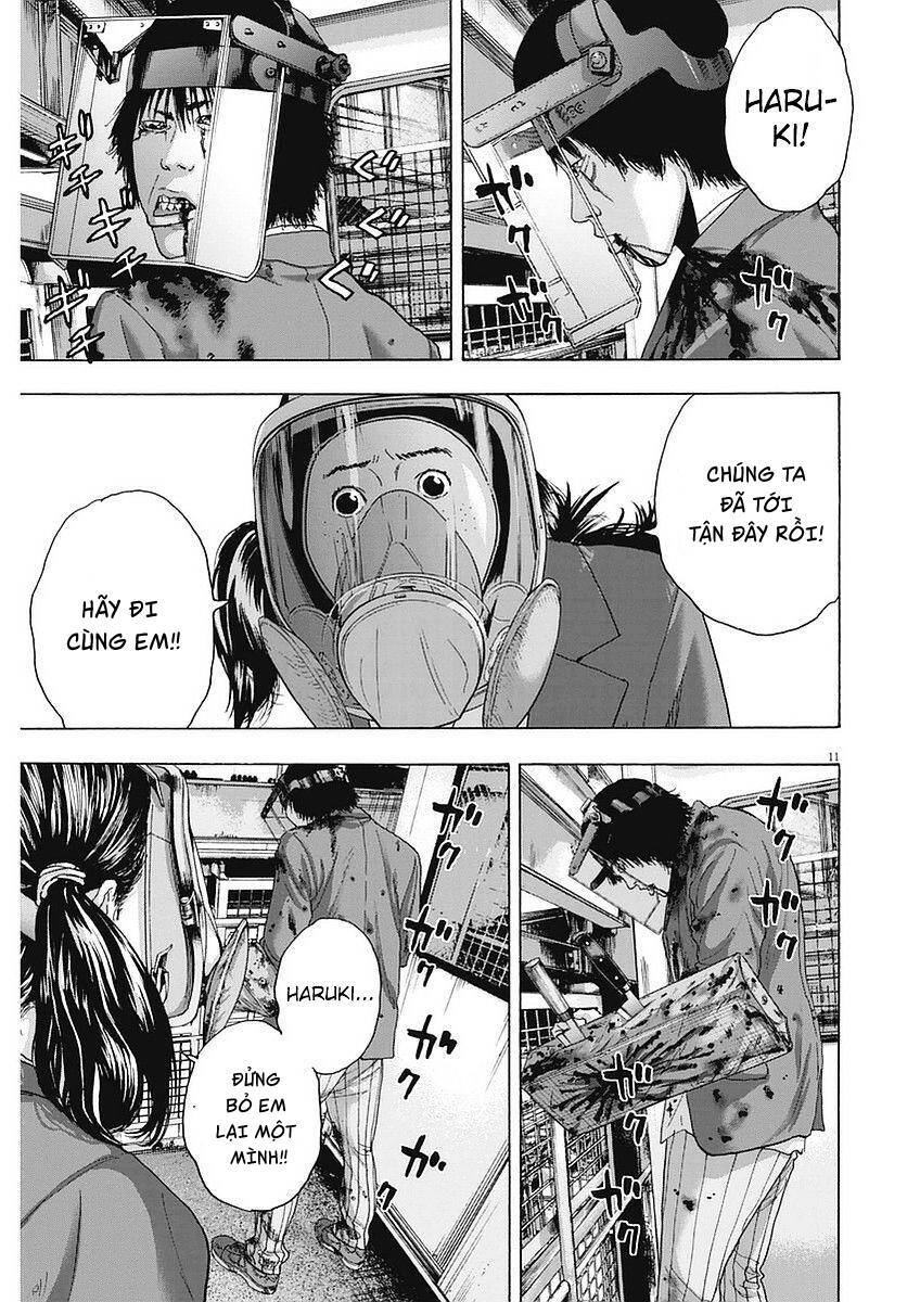 tôi là người hùng chapter 255 11