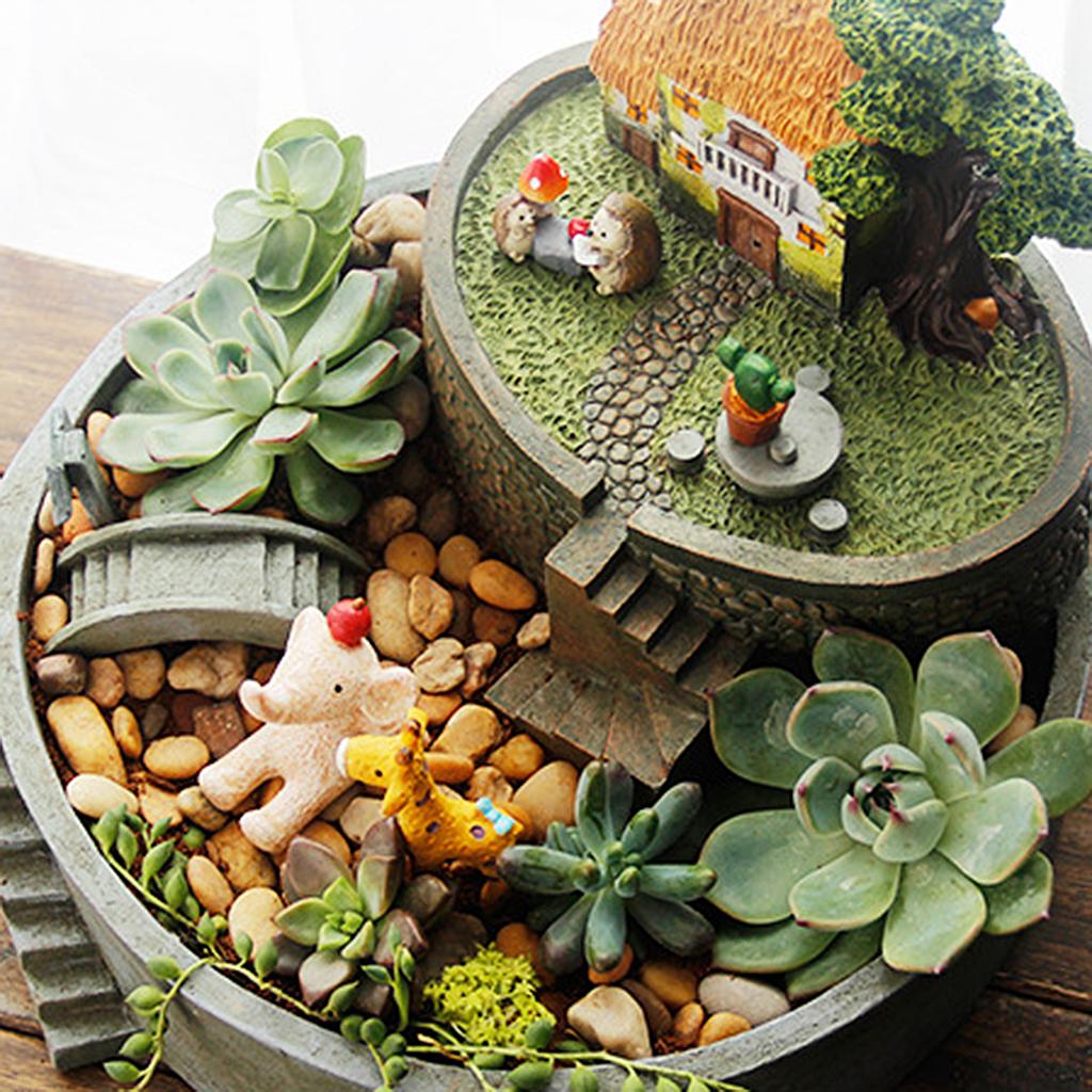 Sky Garden Flower Herb Cacti Sedum Succulent Pot Storage Box Container Garden