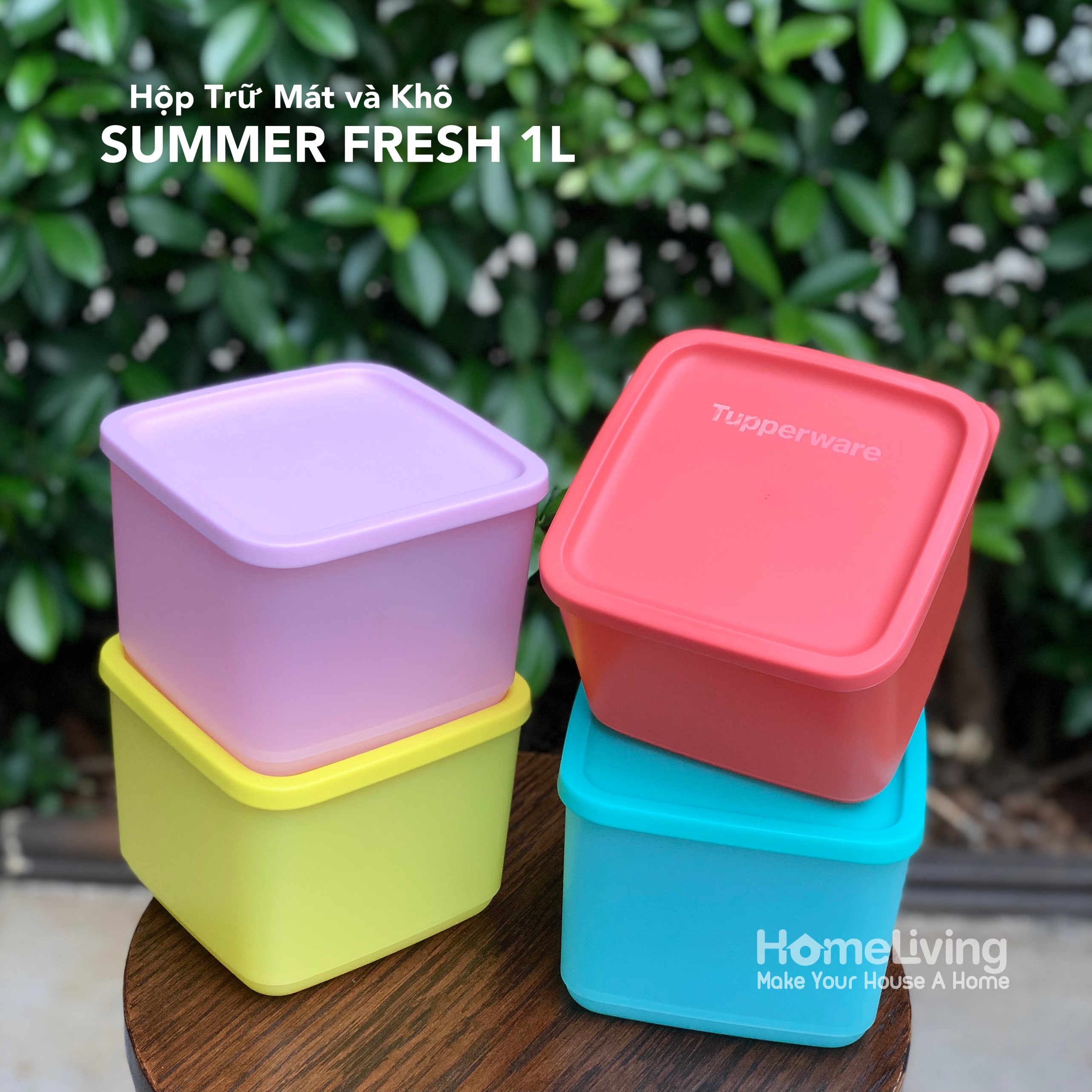 Bộ Trữ Khô & Mát Tupperware Medium Square Round 1L Set 4