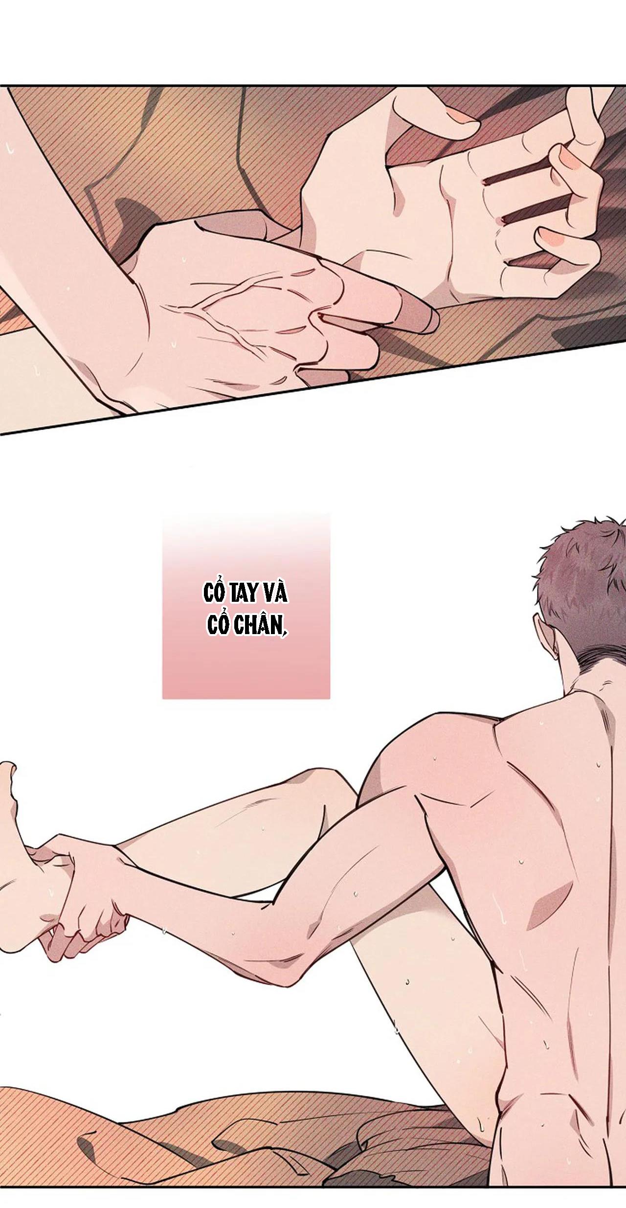 đêm dịu dàng chapter 15 6