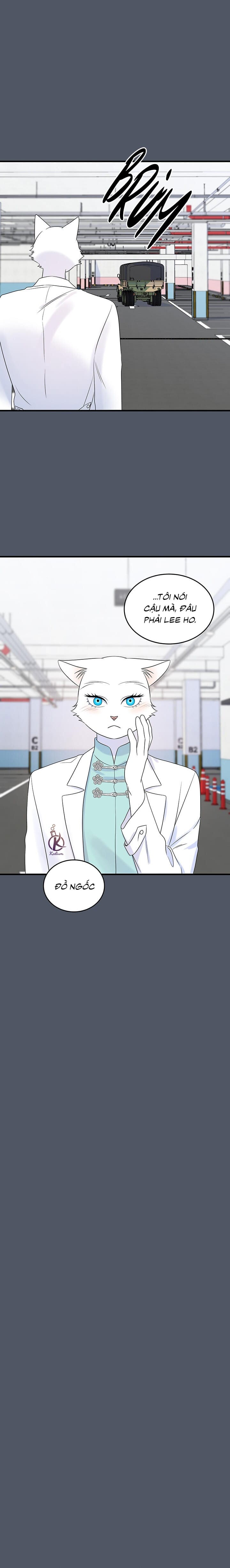 dự án xanh chapter 42 4