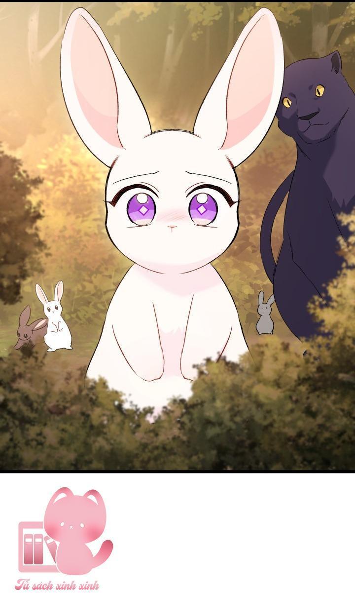 quan hệ cộng sinh giữa báo đen và thỏ trắng chapter 81 59