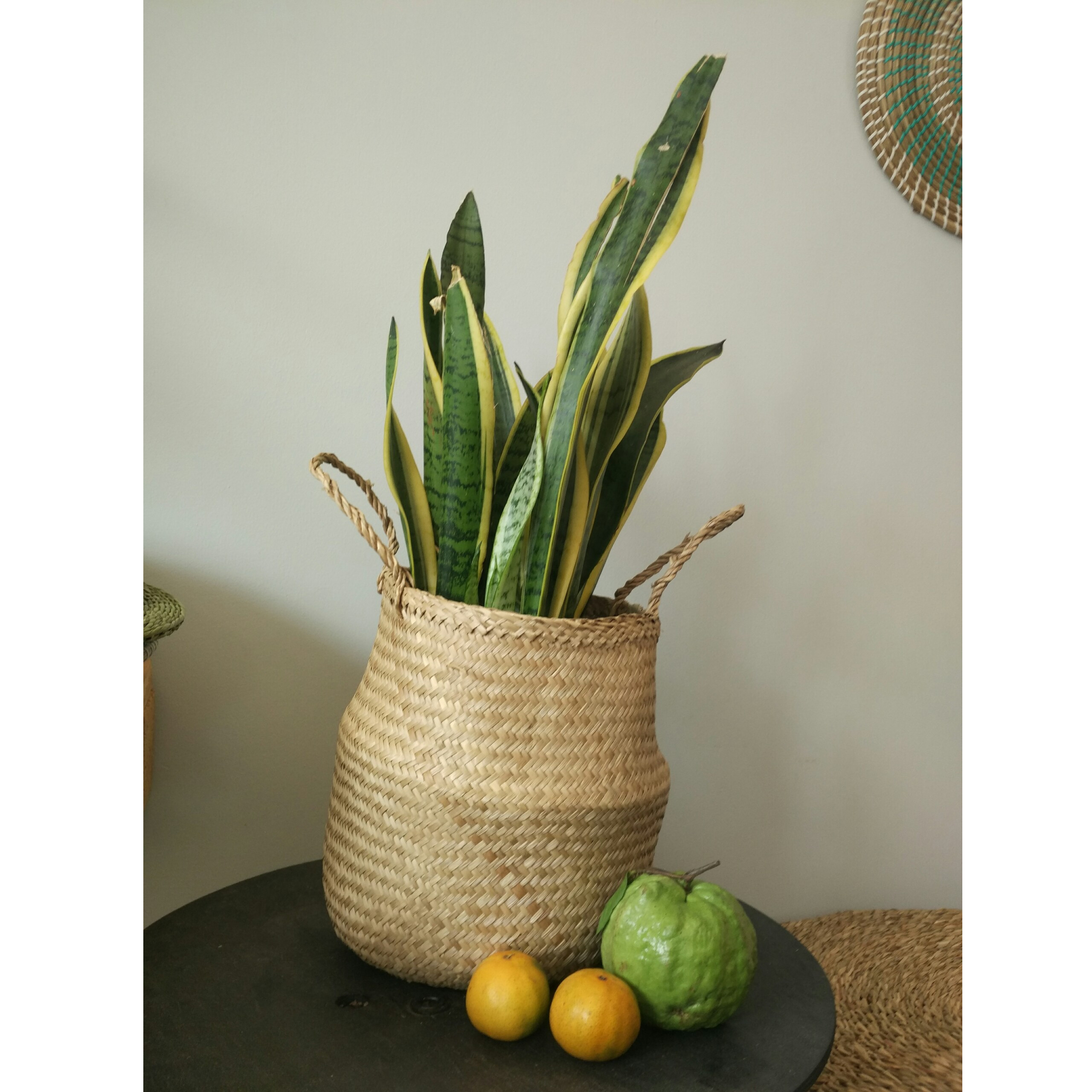 Giỏ Cói/ Chậu Cói Đa Năng