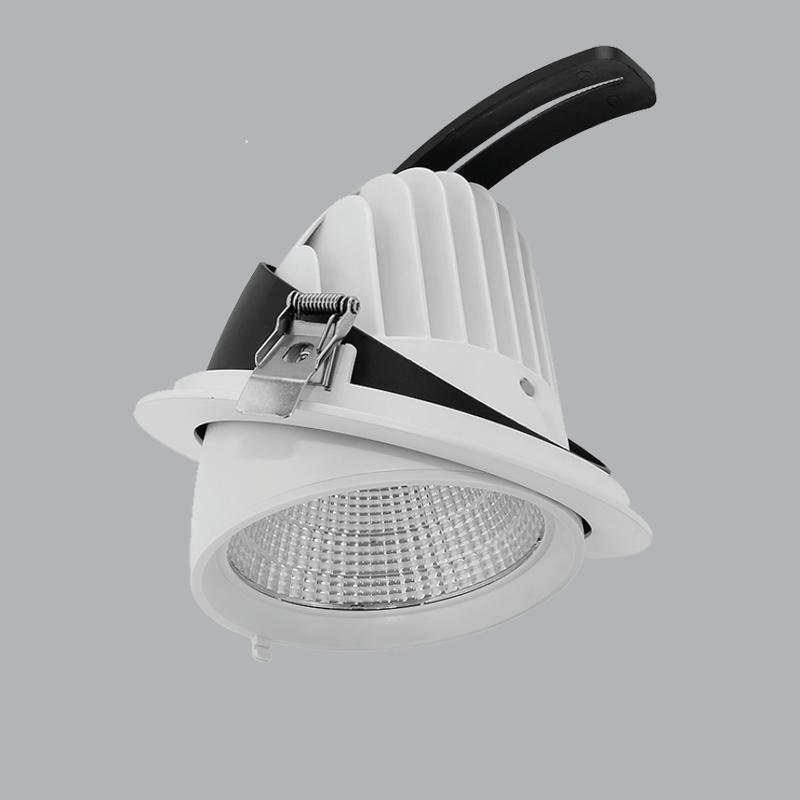 ĐÈN LED DOWNLIGHT ĐIỀU CHỈNH 12W MPE (DLA-12)