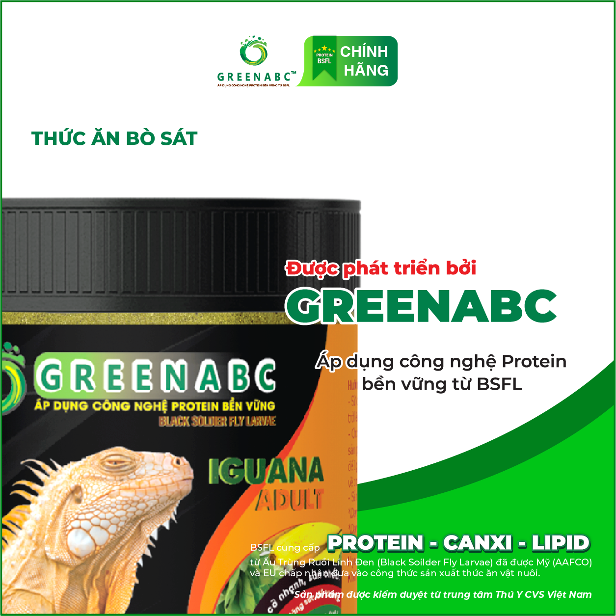 IGUANA TRƯỞNG THÀNH - Thức ăn BÒ SÁT cho Rồng Nam Mỹ trưởng thành từ 1m trở lên TĂNG SIZE, TĂNG MÀU, GAI BUNG, DÁNG ĐẸP, KHỎE MẠNH