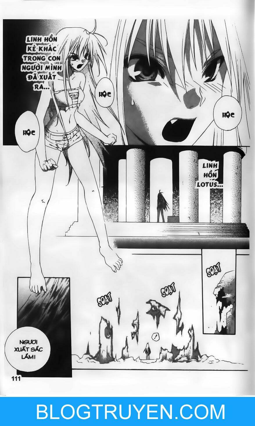 dersert coral chapter 24 4