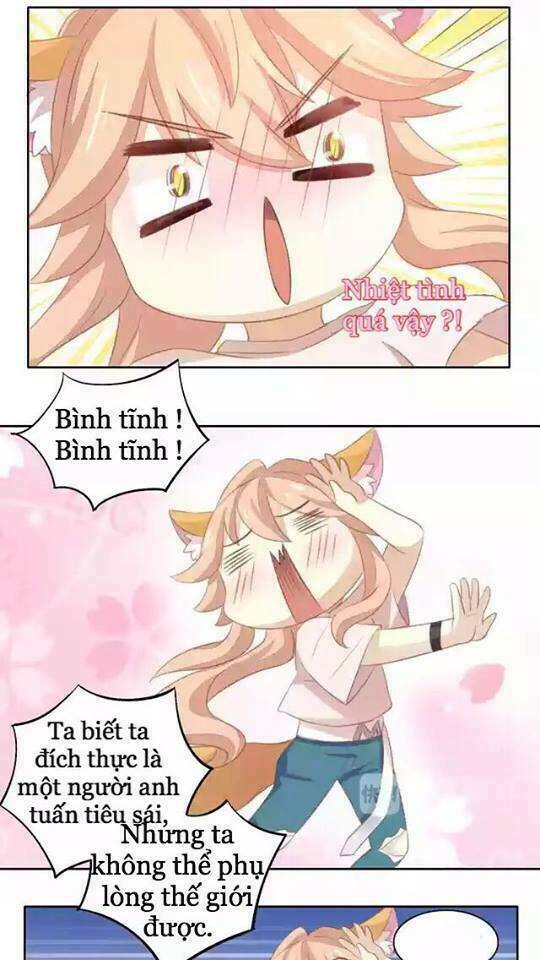 dưới móng vuốt mèo chapter 11 40