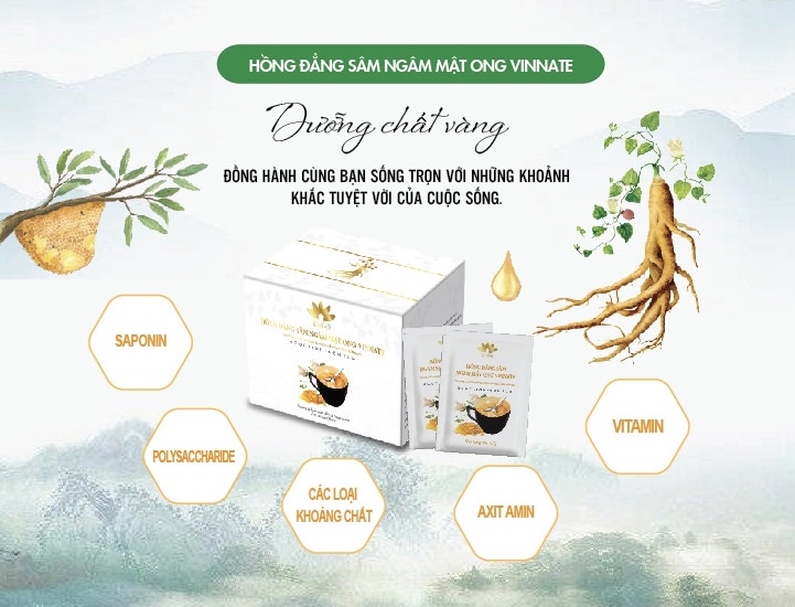 Hồng Đẳng Sâm Ngâm Mật Ong Vinnate