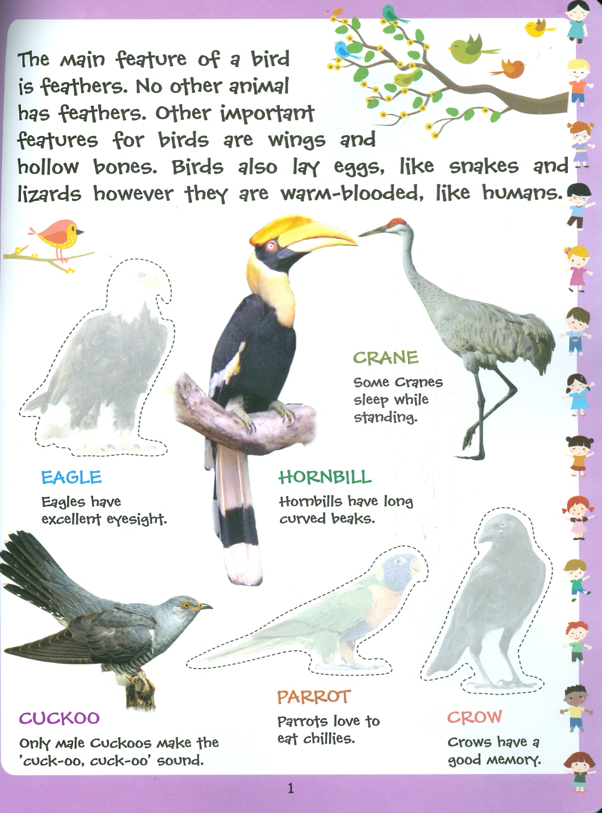 Play With Sticker - Birds (Chơi Cùng Hình Dán - Các Loài Chim)