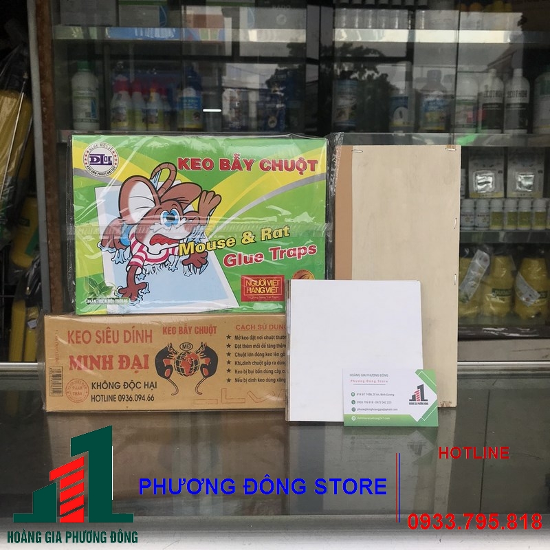 Keo dính chuột giấy