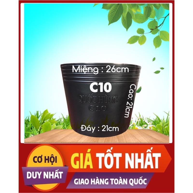 Combo 50 c10, 10 c16, 20 c13, 27c8  chậu nhựa trồng cây,trồng hoa,trồng rau giá tại xưởng