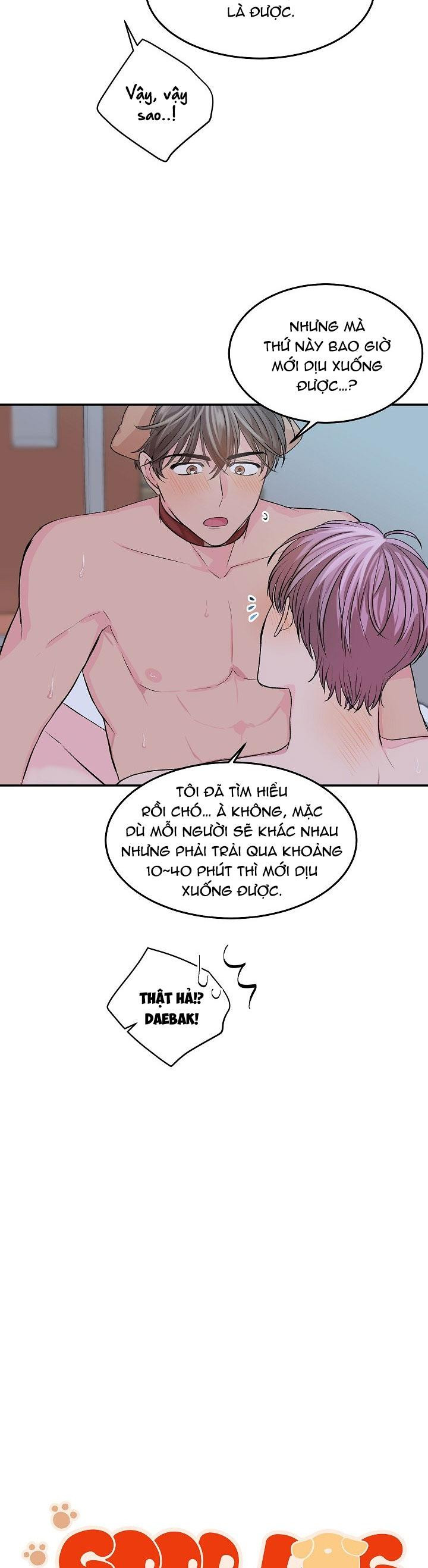 good dog , my boy chapter 3 4