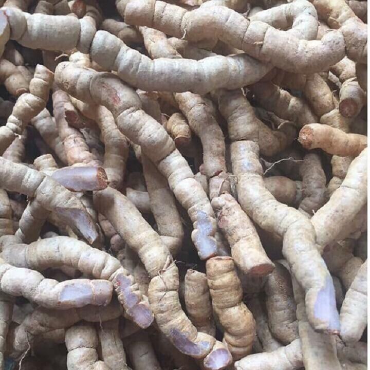 CÂY GIỐNG BA KÍCH TÍM XỊN