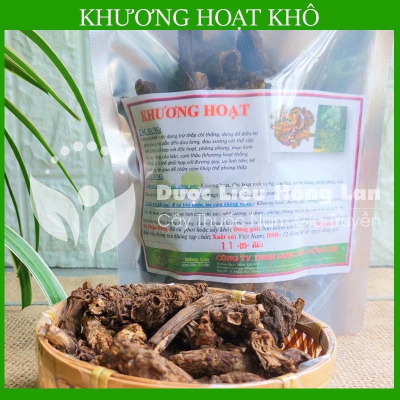 [THƯỢNG HẠNG] 100g Khương Hoạt khô đẹp loại 1