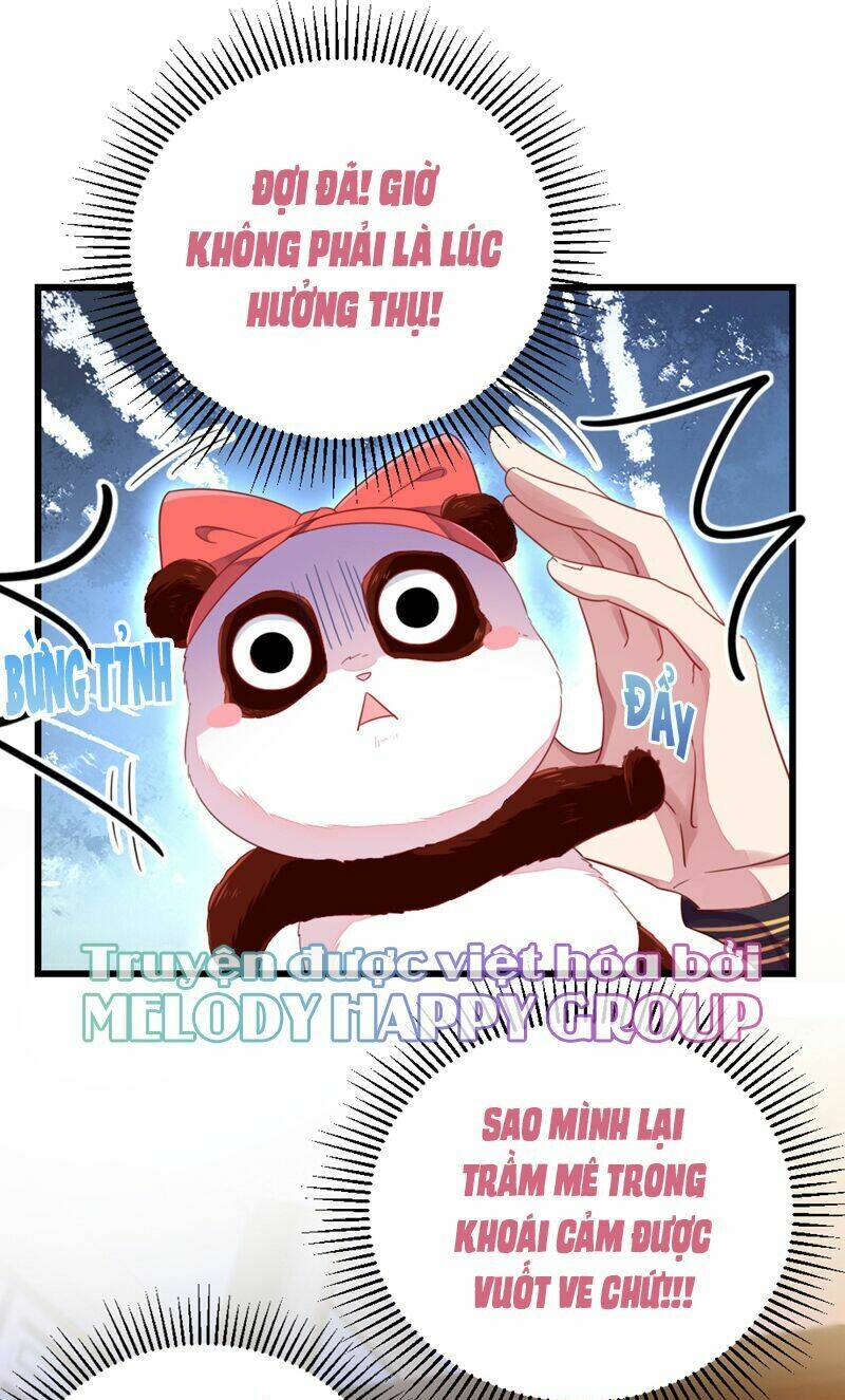 thiên thần gấu trúc muốn được ôm chapter 25 14