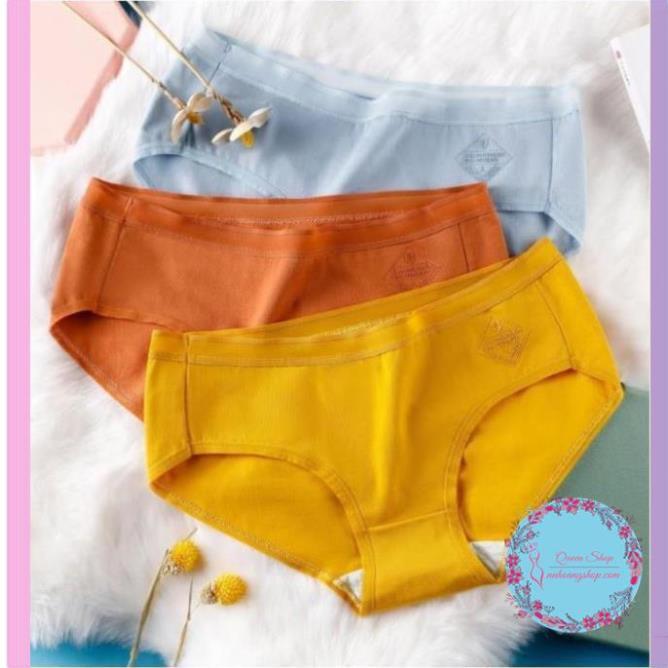 Quần lót nữ cotton viền in nổi kháng khuẩn có chọn size chọn màu - đồ lót cotton nữ QL06
