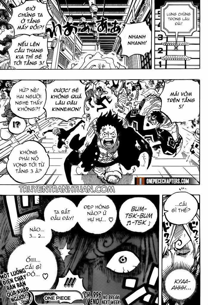 đảo hải tặc - one piece chapter 996 17