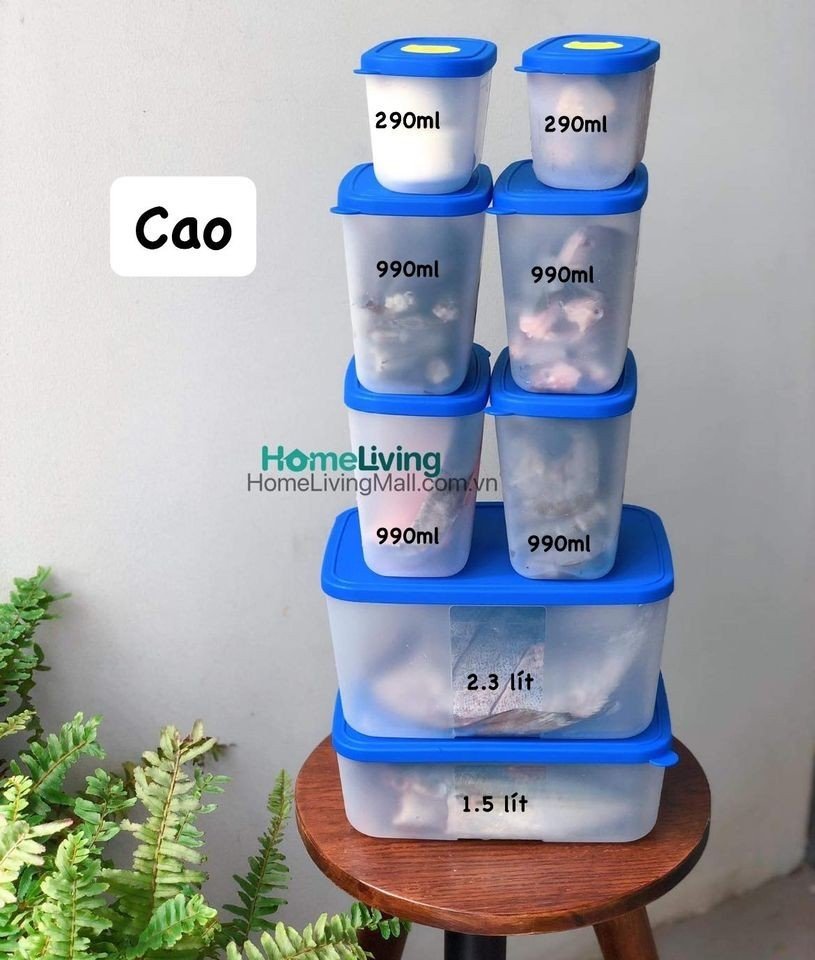 Set Trữ Đông Tupperware Modern 8 Hộp