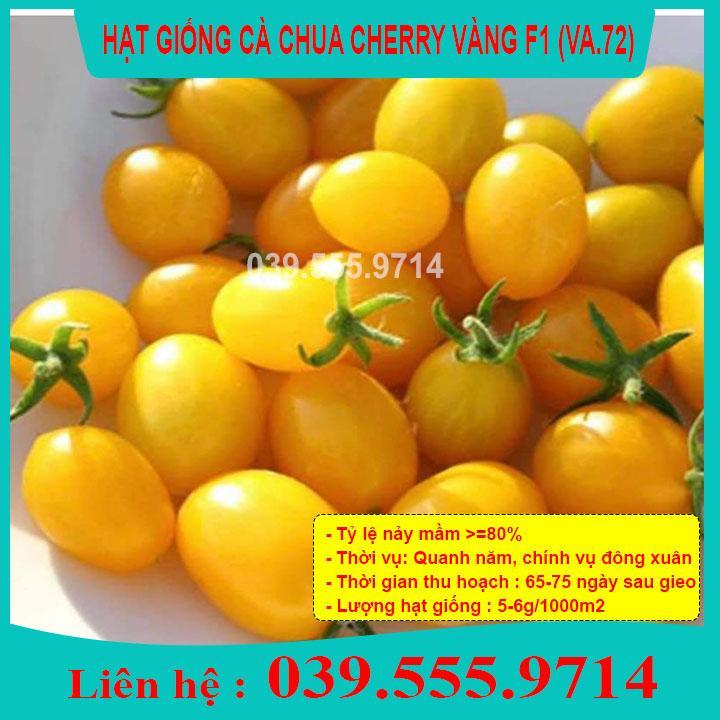 HẠT GIỐNG CÀ CHUA CHERRY VÀNG GIỐNG CHUẨN