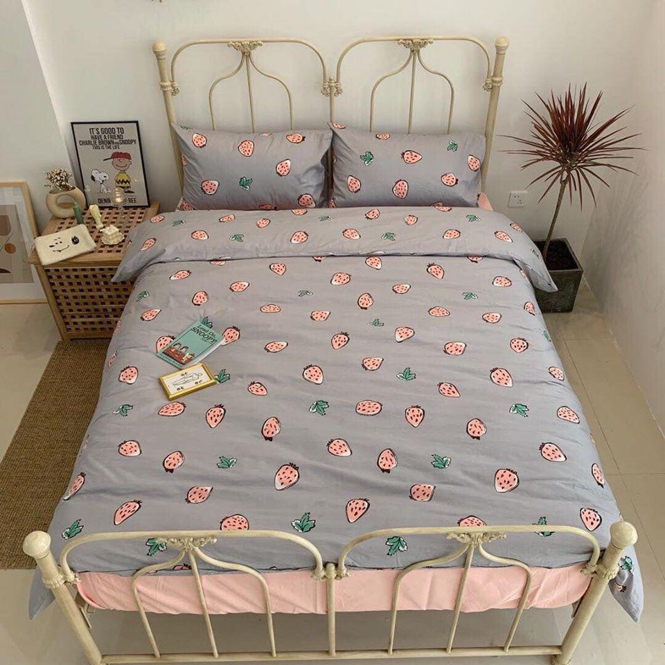 Set Chăn Ga Gối Cotton Living Cao Cấp