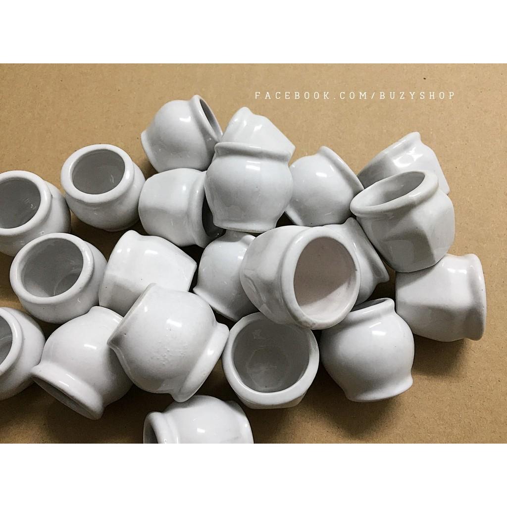 Chậu sứ trắng mini, chậu trồng sen đá - giao mẫu ngẫu nhiên