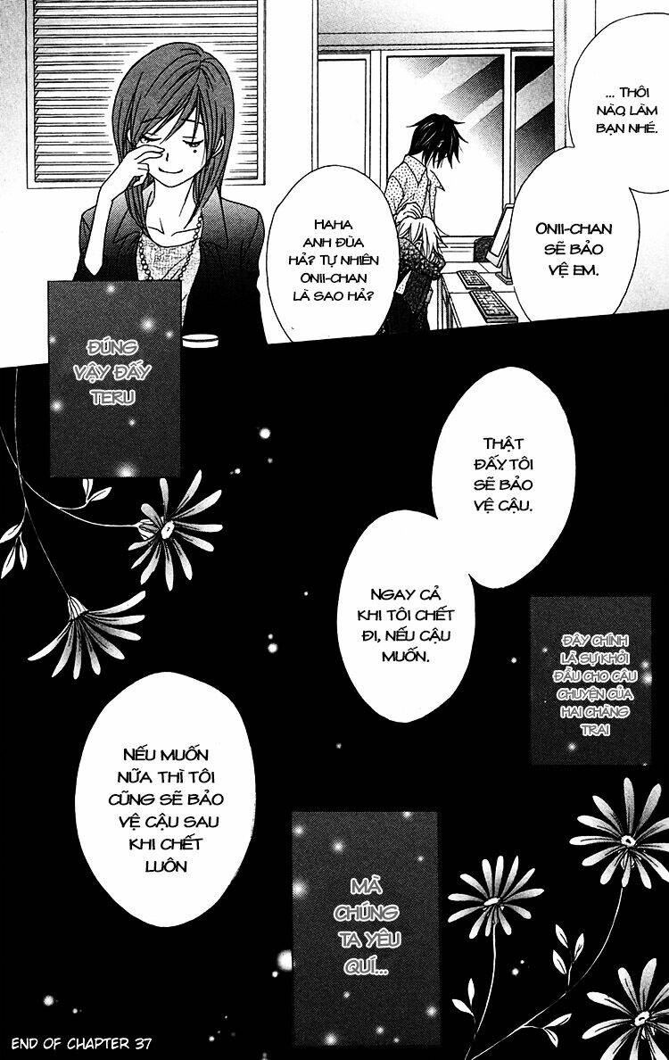 điện kích daisy chapter 37 36