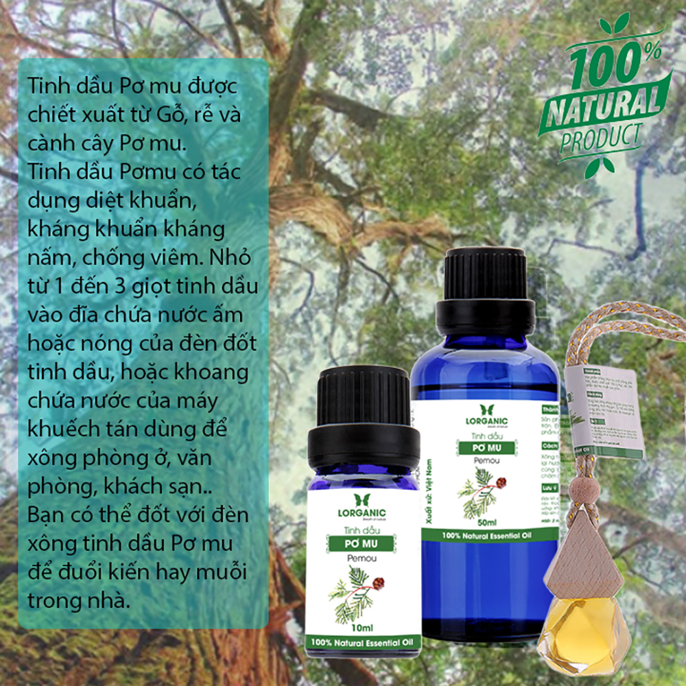 Tinh Dầu Xông Phòng Thư Giãn, Đuổi Muỗi 50ml LORGANIC Sả Chanh, Quế, Bạc Hà, Oải Hương Lavender, Tràm, Ngọc Lan Tây, Hương Thảo, Stress Relief, Sensual, Cam, Vỏ Bưởi, Bạch Đàn Chanh, Bưởi Chùm, Hoắc Hương, Long Não, Pơ Mu, Gỗ Thông