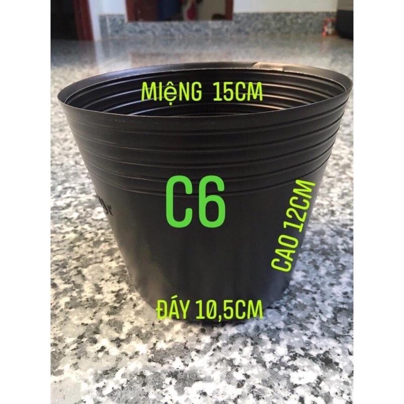 Compo 50 chậu nhựa C6 giá sỉ