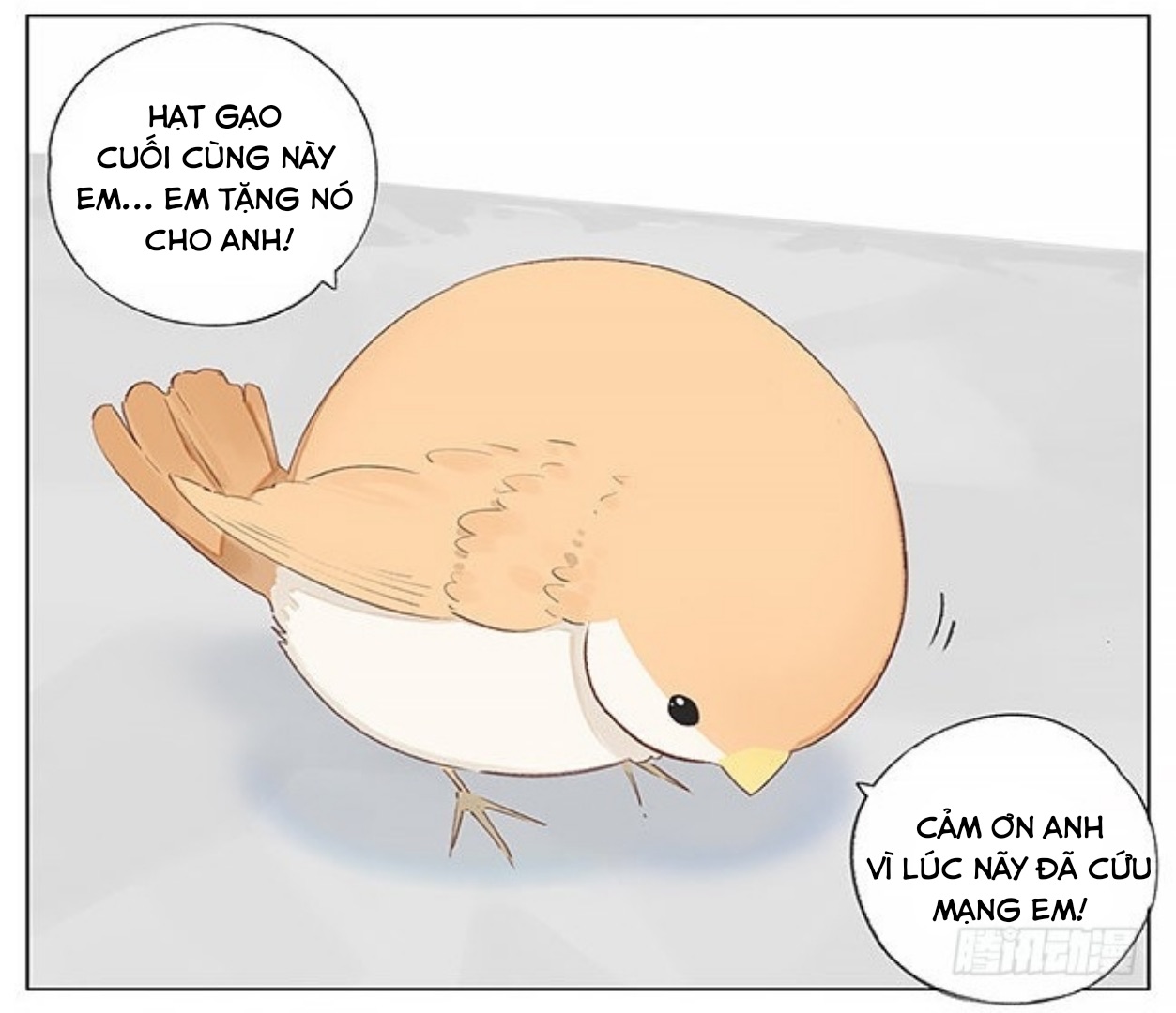 sẻ chiếu mới và nhạn phong sương chapter 1 13