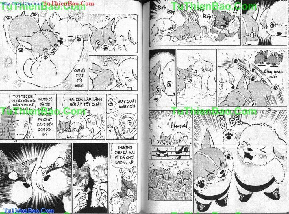 chó con mo mo chapter 5 47