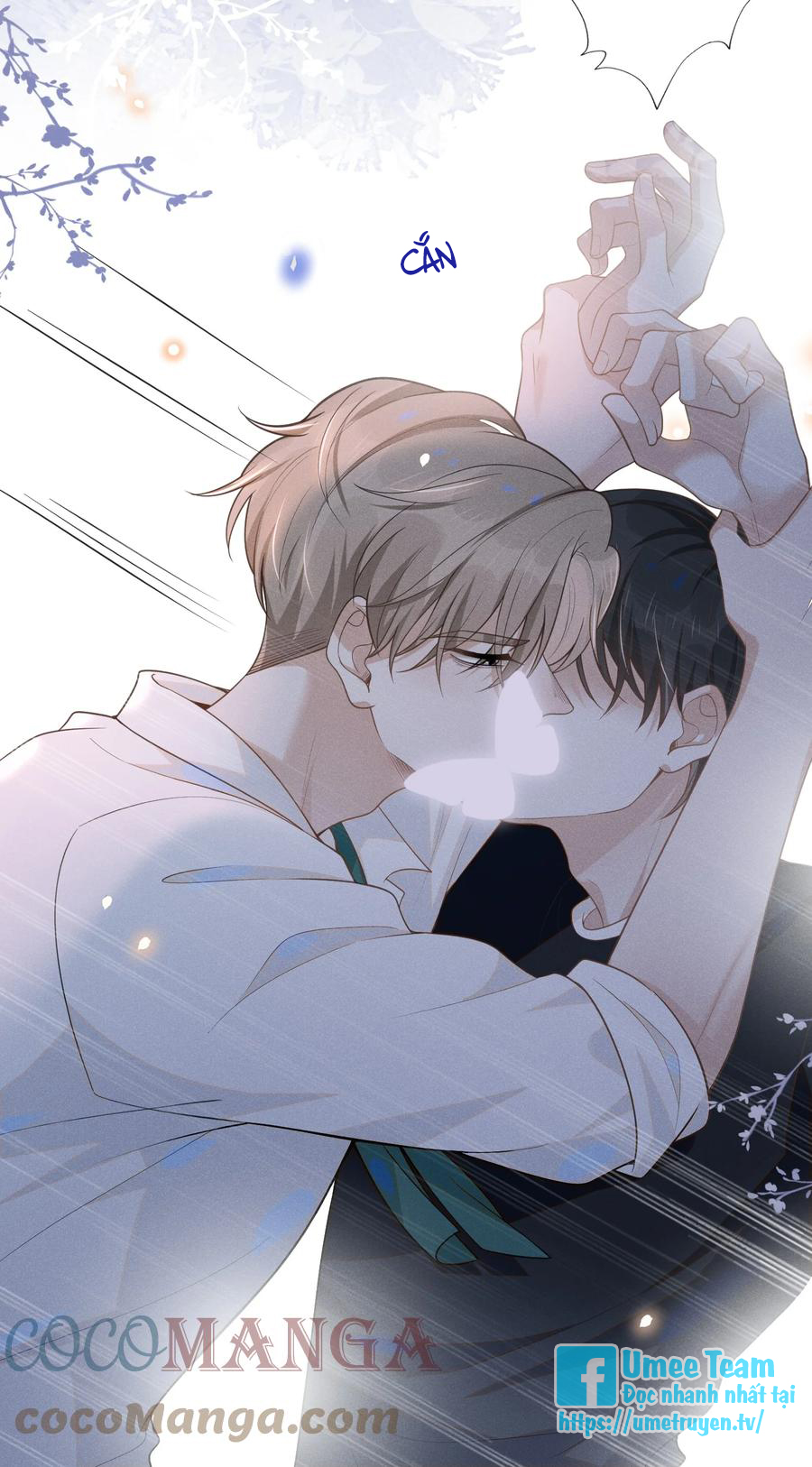 kiếp sau không gặp chapter 49 15