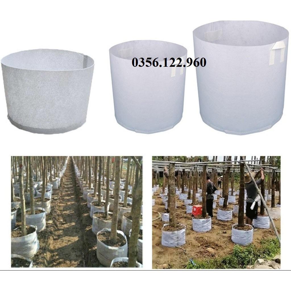 Túi vải trồng cây có quai xách kích cỡ tùy chọn