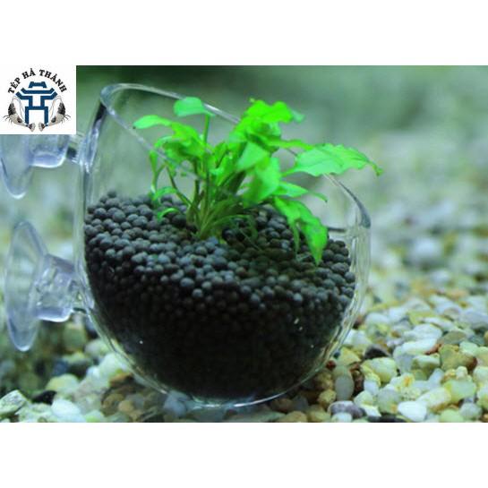 Cốc Trồng Cây Thủy Sinh - Trang Trí Bể Cá Cảnh, Bể Thủy Sinh