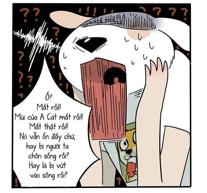 cáo a cát kém tắm chapter 4 24