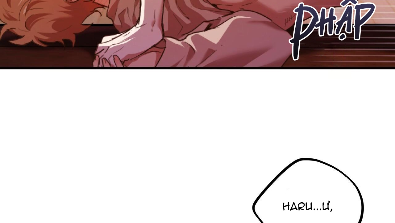 đàn thỏ của habibi chapter 33 173