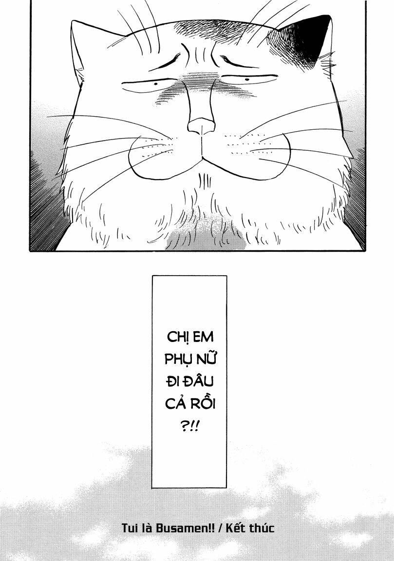 tui là busamen! chapter 8 15